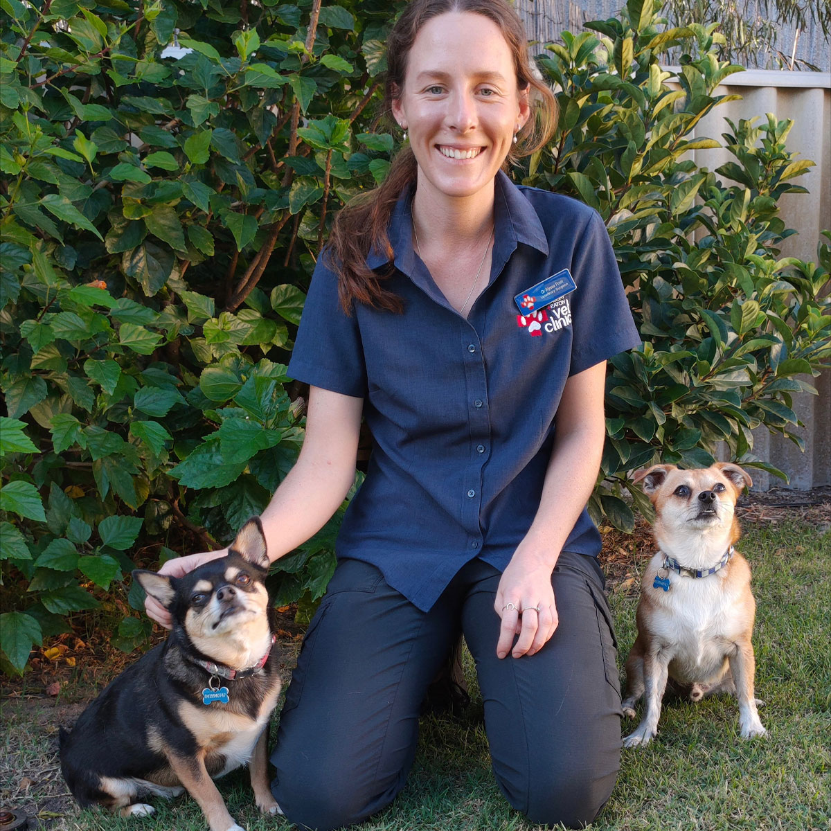 Bunbury and Eaton Vet Clinic - Meet the Team - Dr Alyssa Frost Bunbury and Eaton Vet Clinic - Meet the Team - Dr Alyssa Frost