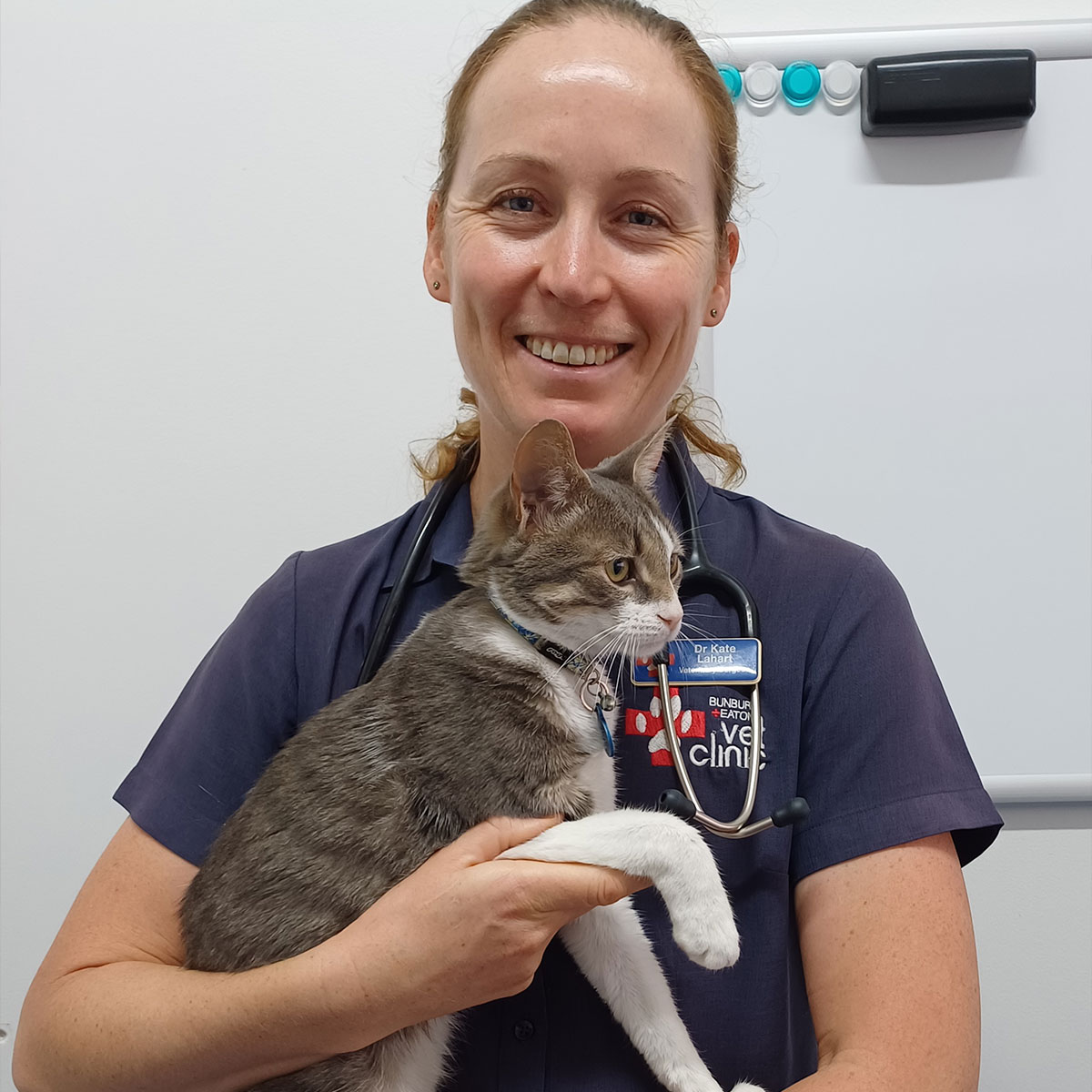 Bunbury and Eaton Vet Clinic - Meet the Team - Dr Kate Lahart Bunbury and Eaton Vet Clinic - Meet the Team - Dr Kate Lahart