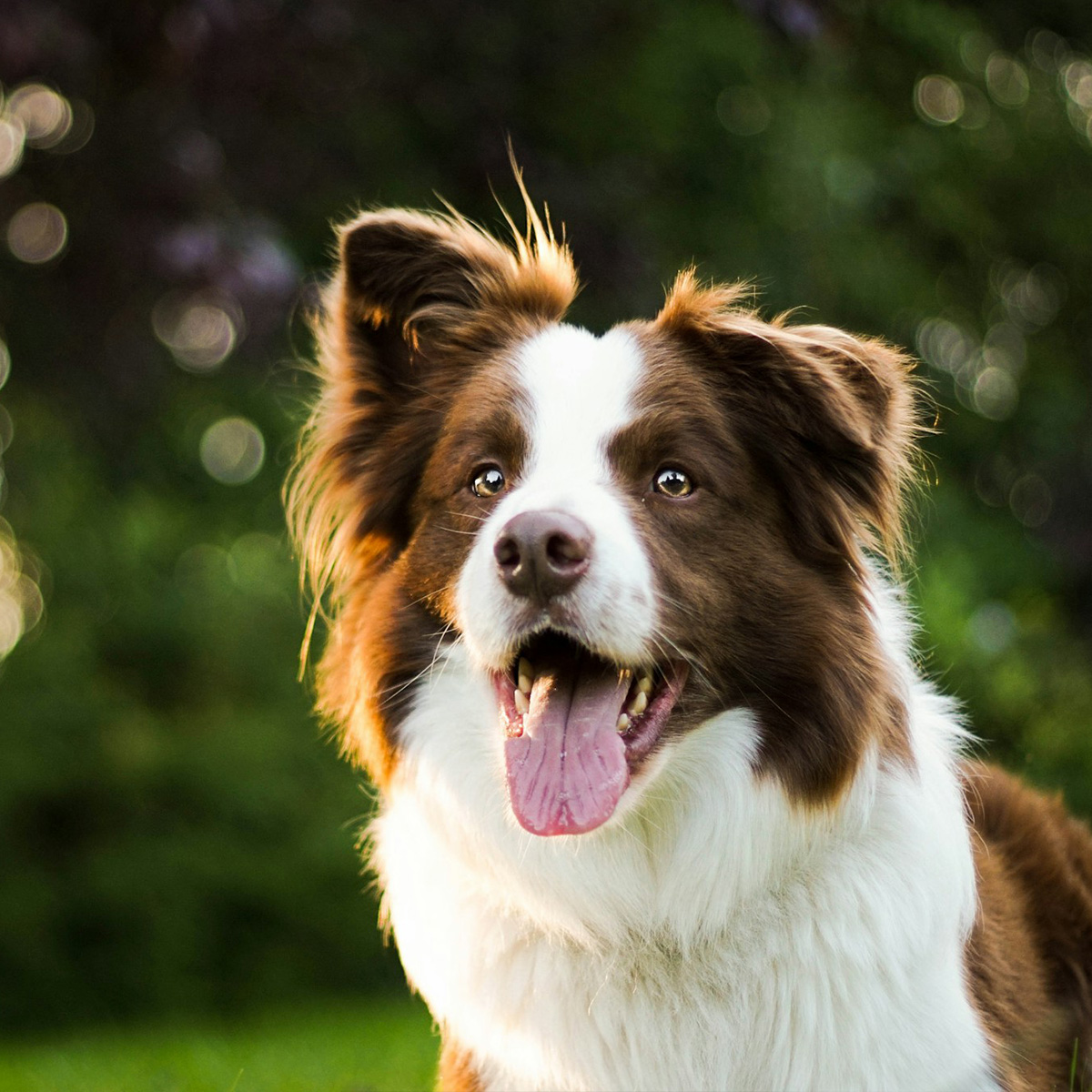 Meet our Team - Rachael