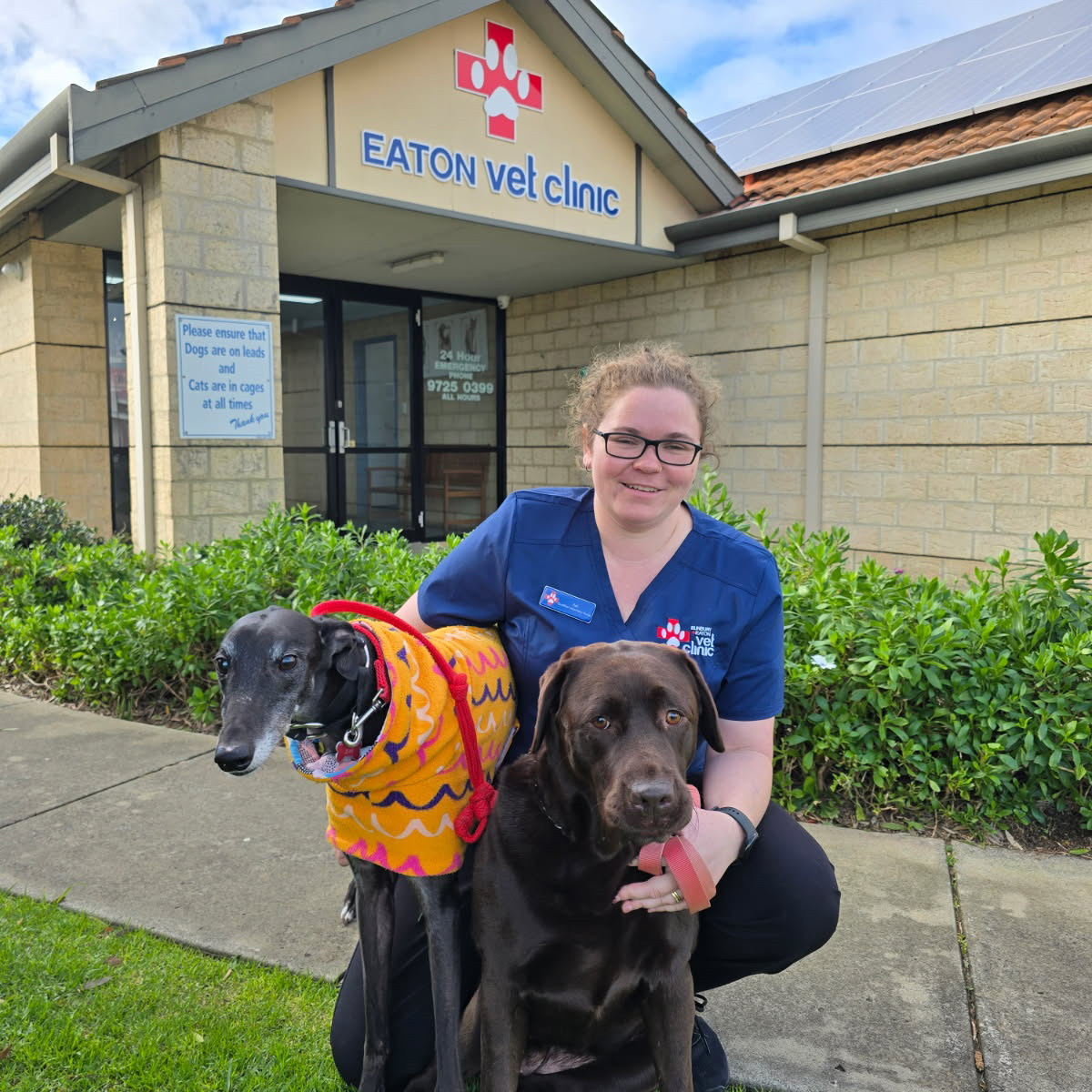 Meet our Vet Nurses - Ashleigh