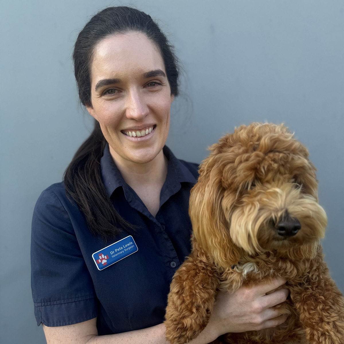 Bunbury and Eaton Vet Clinic - Meet the Team - Dr Peta Lewis