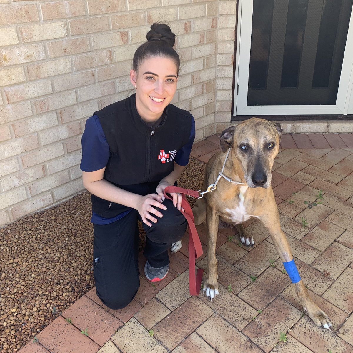 Meet the Team - Emily