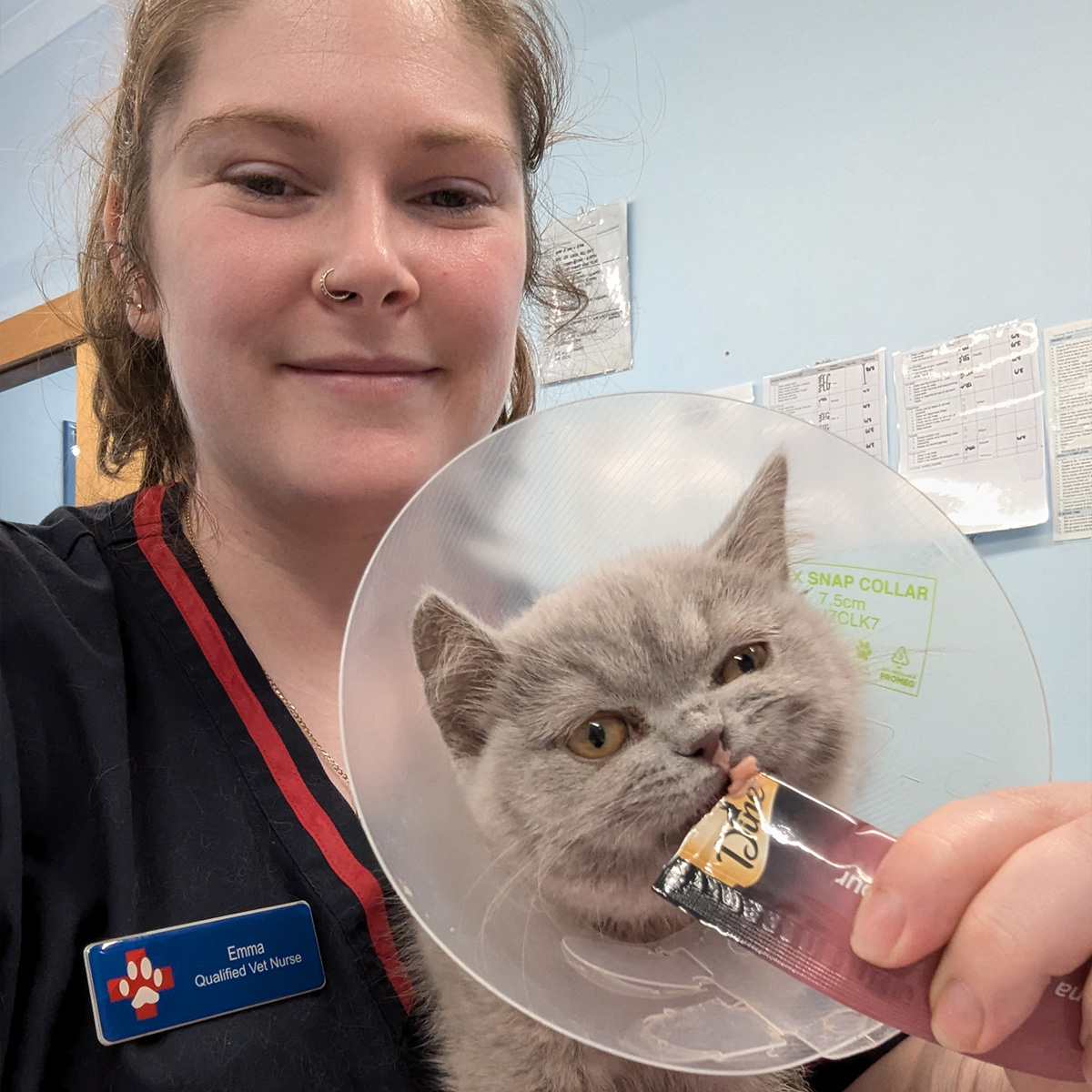 Meet our Vet Nurses - Emma