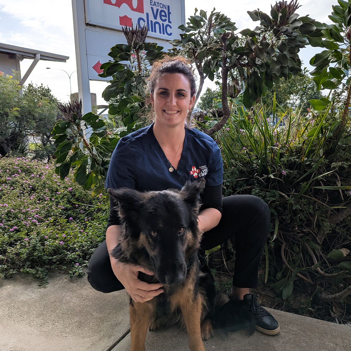 Meet our Vet Nurses - Ophelia