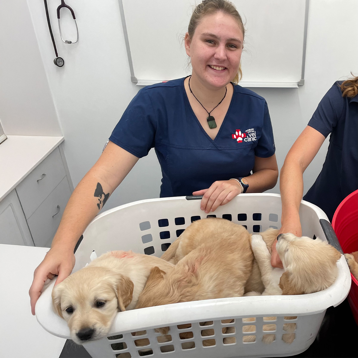 Meet our Vet Nurses - Sasha