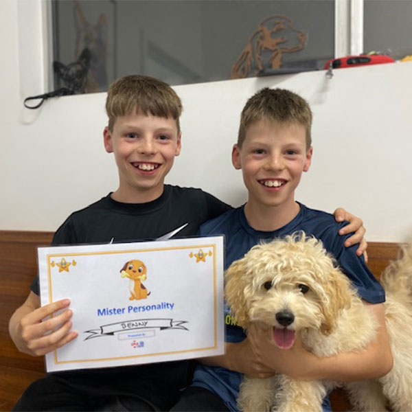 Bunbury Vet - Puppy Preschool  Bunbury Vet - Puppy Preschool