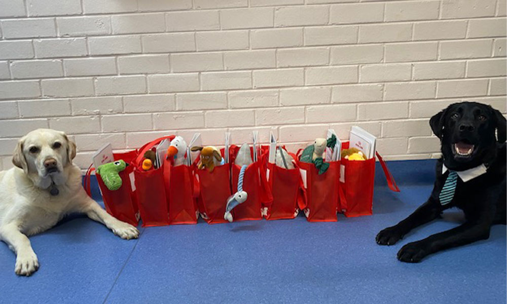 Bunbury Vet - Puppy School - Good Puppies Bunbury Vet - Puppy Preschool