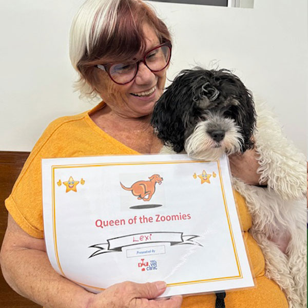 Bunbury Vet - Puppy School - Lexi Bunbury Vet - Puppy Preschool