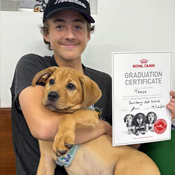 Bunbury Vet - Puppy School - Toast Bunbury Vet - Puppy Preschool