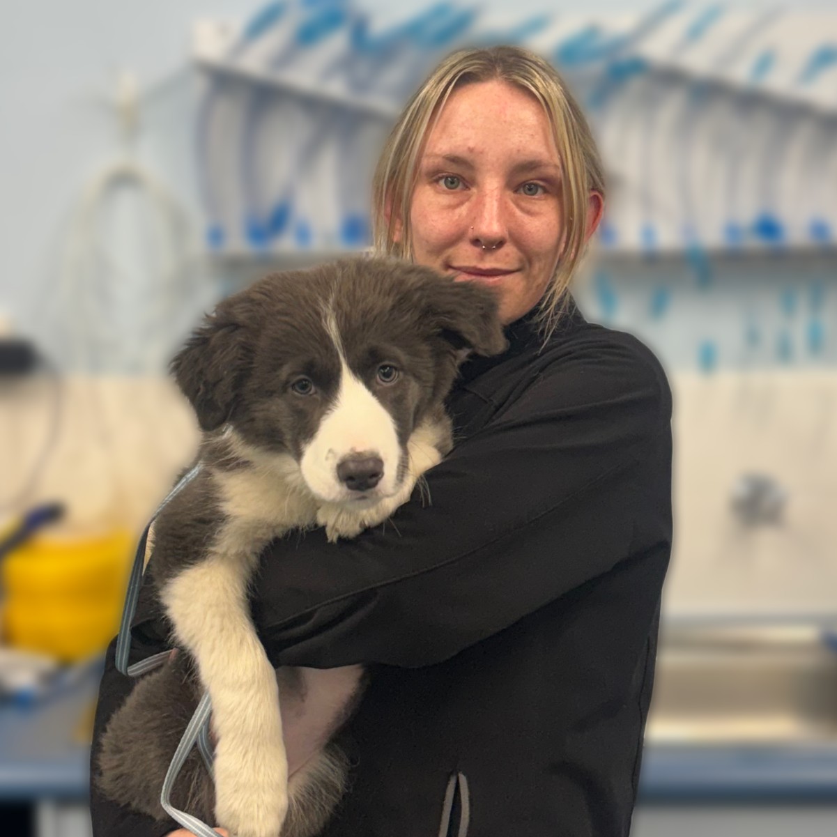 Meet our Vet Nurses - Ophelia